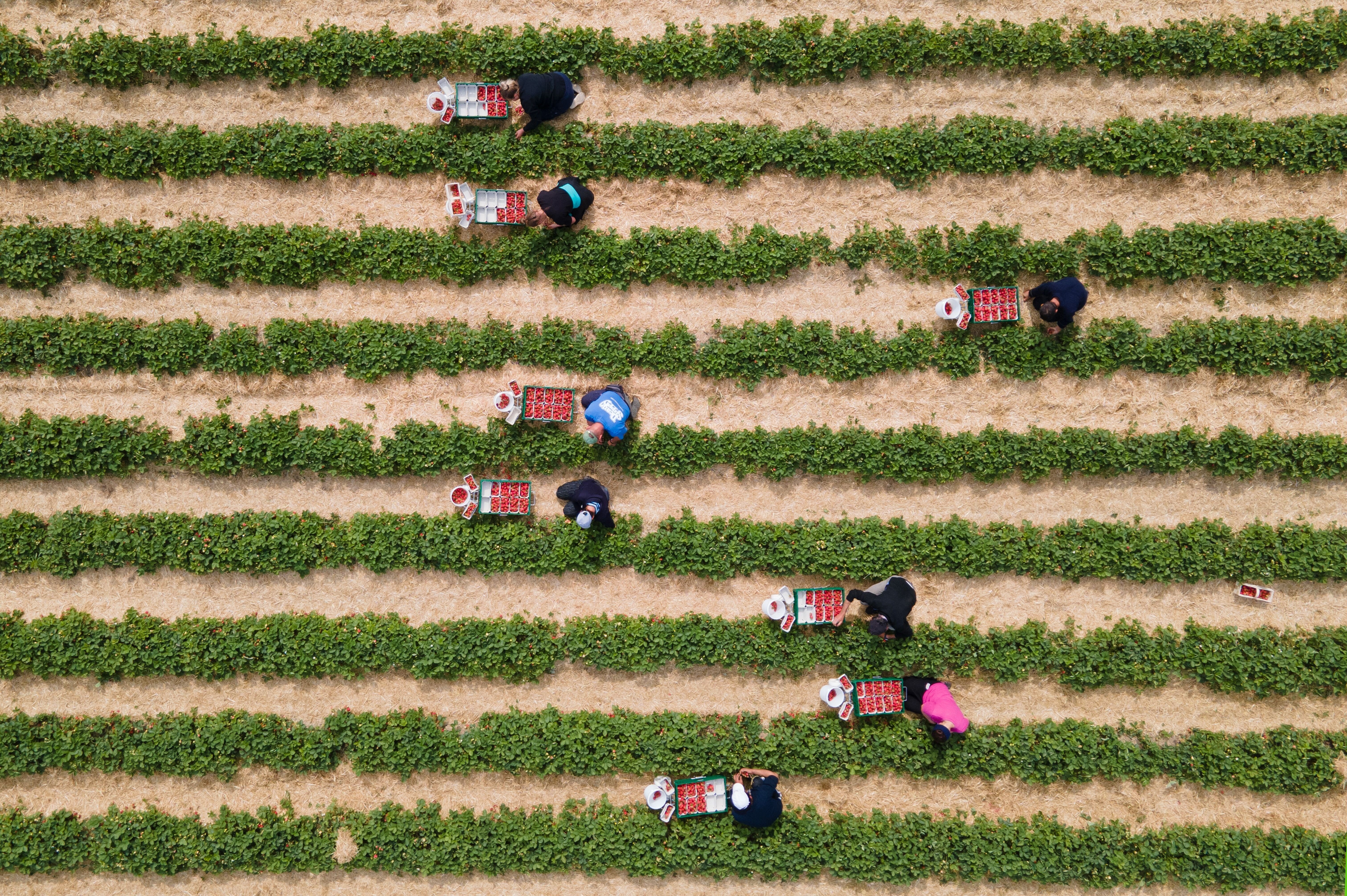 DLRG: So viele tödliche Badeunfälle wie noch nie | BR24