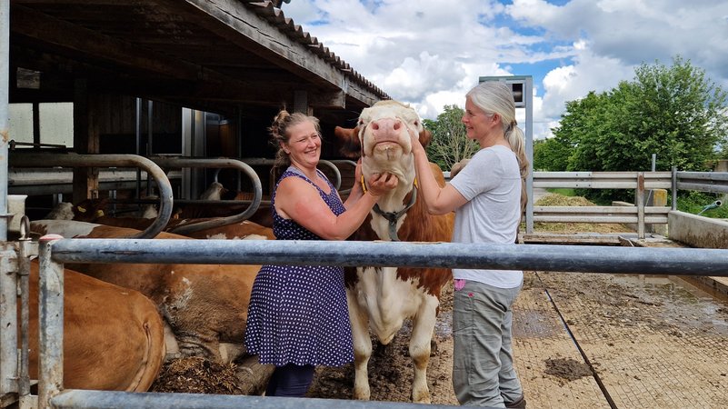 Besucherin Daniela Michaelis und Bäuerin Barbara Gropper kraulen ein Kuh im Laufstall
