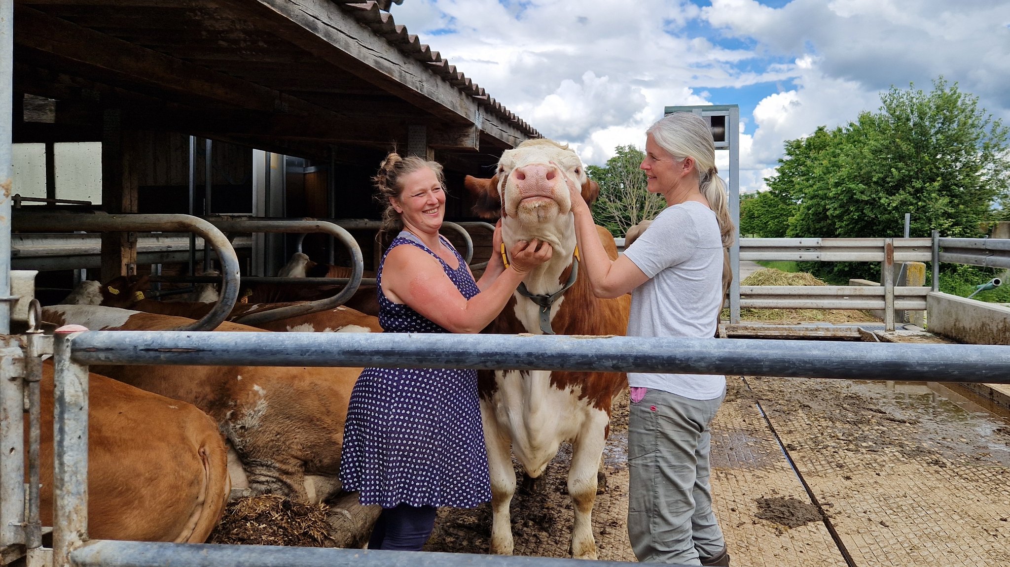 Blick hinter die Kulissen: Landwirt für einen Tag