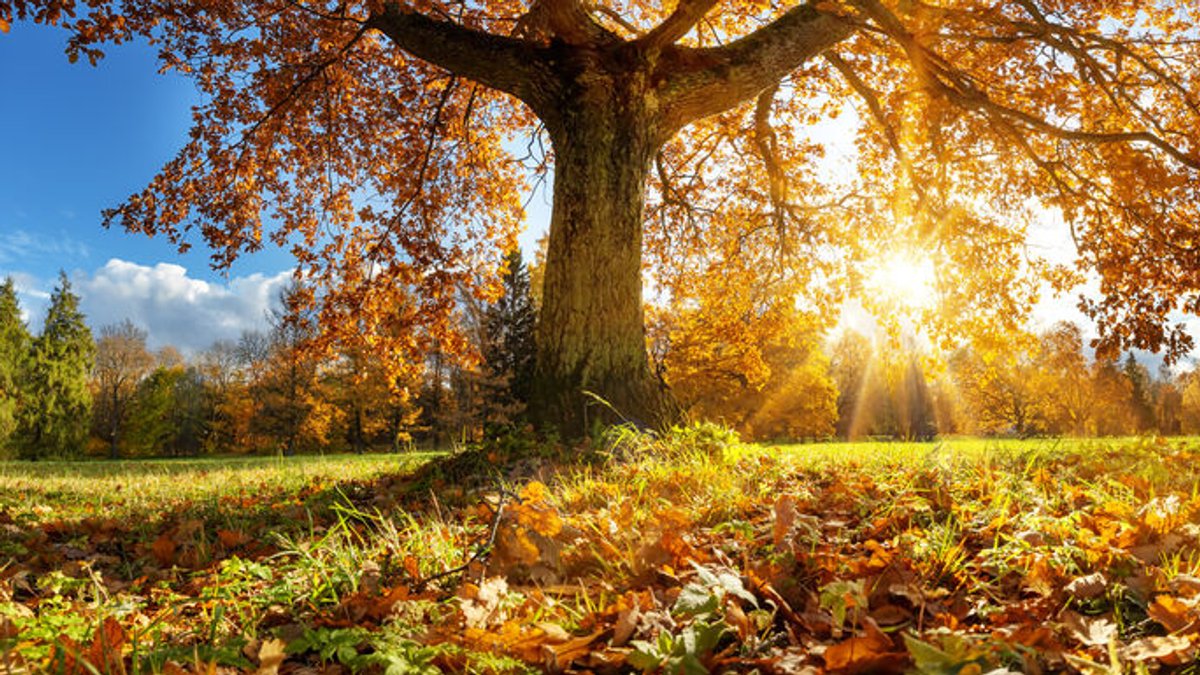 Wetter: Milder und wechselhafter Wochenstart in Bayern