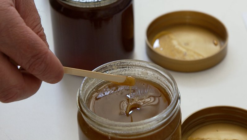 BR24 vom 15.09.24: Bayerischer Imkertag - Alles rund um den heimischen Honig | Bild: Bayerischer Rundfunk 2024 BR24 vom 15.09.24: Bayerischer Imkertag - Alles rund um den heimischen Honig