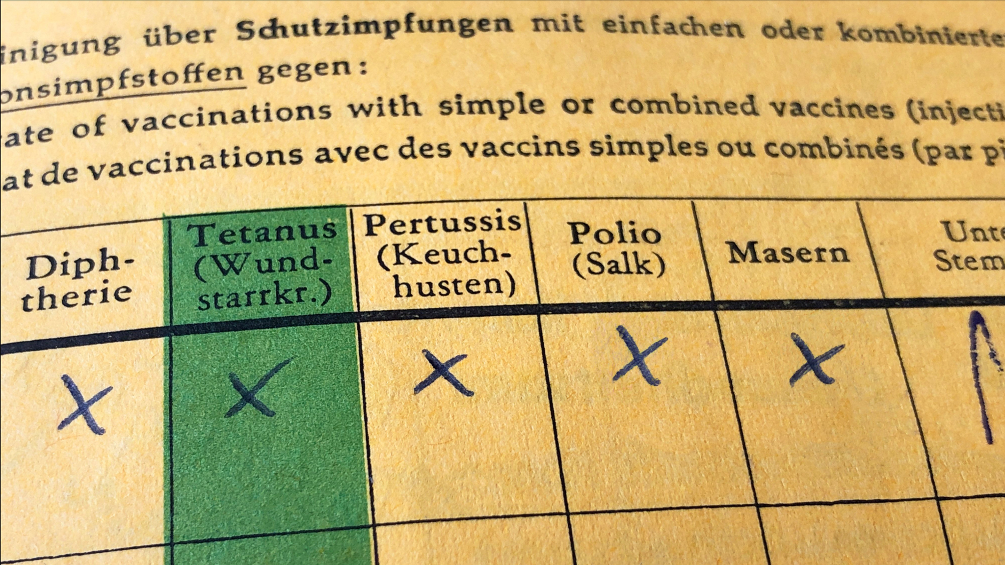 Impfbuch mit den Impfstoffen einer Mehrfachimpfung: Diphtherie, Tetanus, Pertussis, Polio, Masern