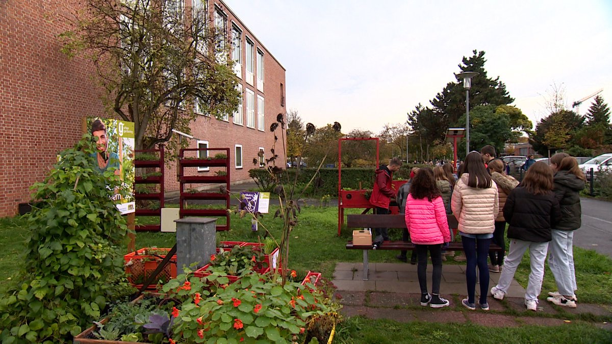 Urban Gardening am Olympia-Morata-Gymnasium in Schweinfurt