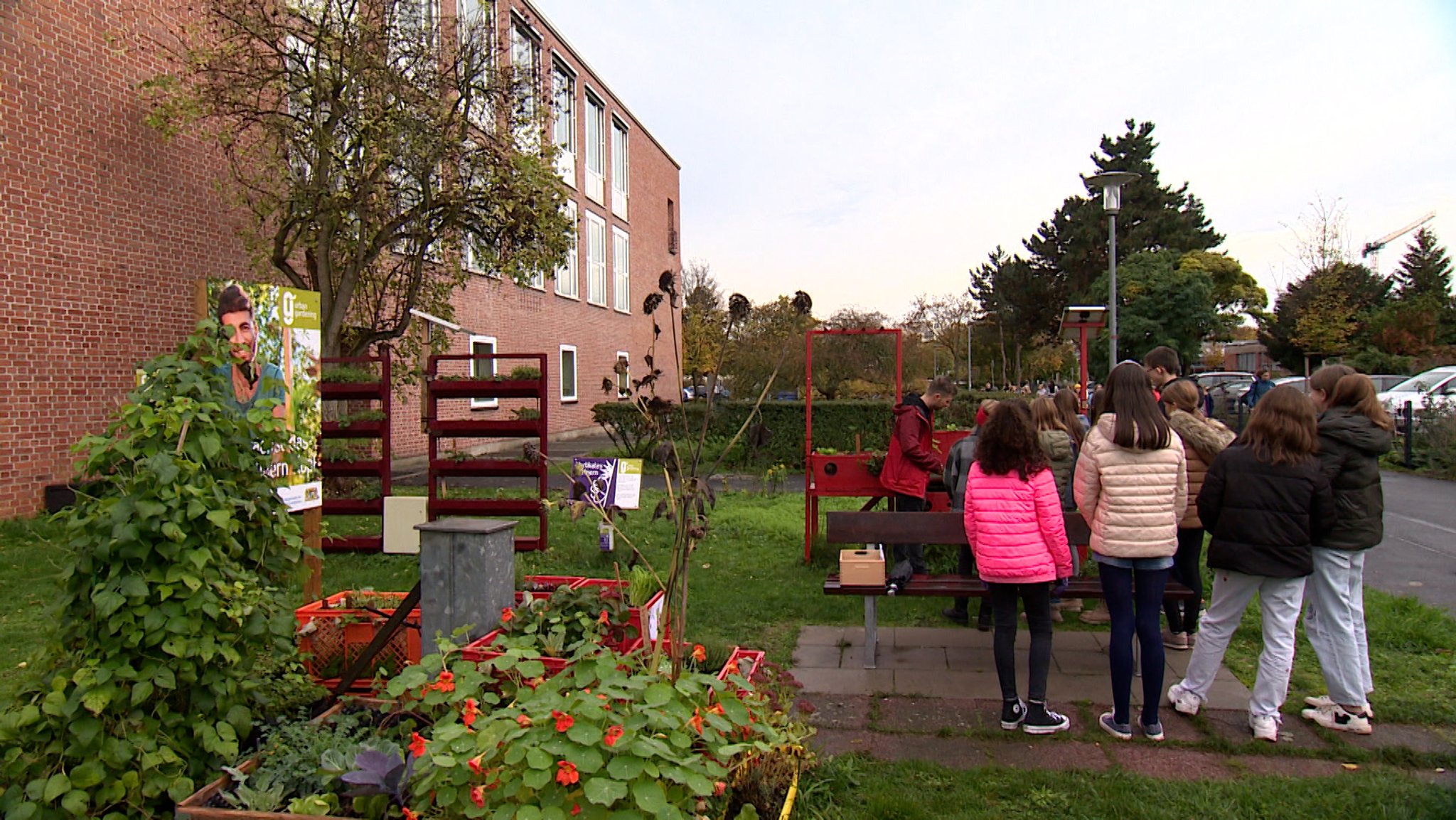 Urban Gardening am Olympia-Morata-Gymnasium in Schweinfurt