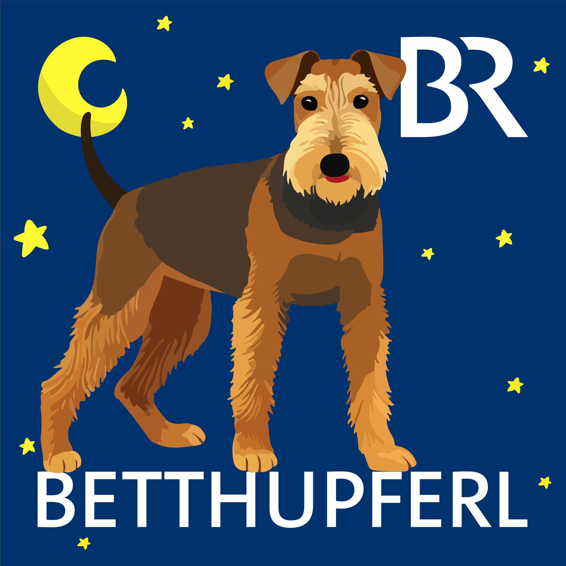 Pelle, der Profi, I (5/5): Mit ins Bett