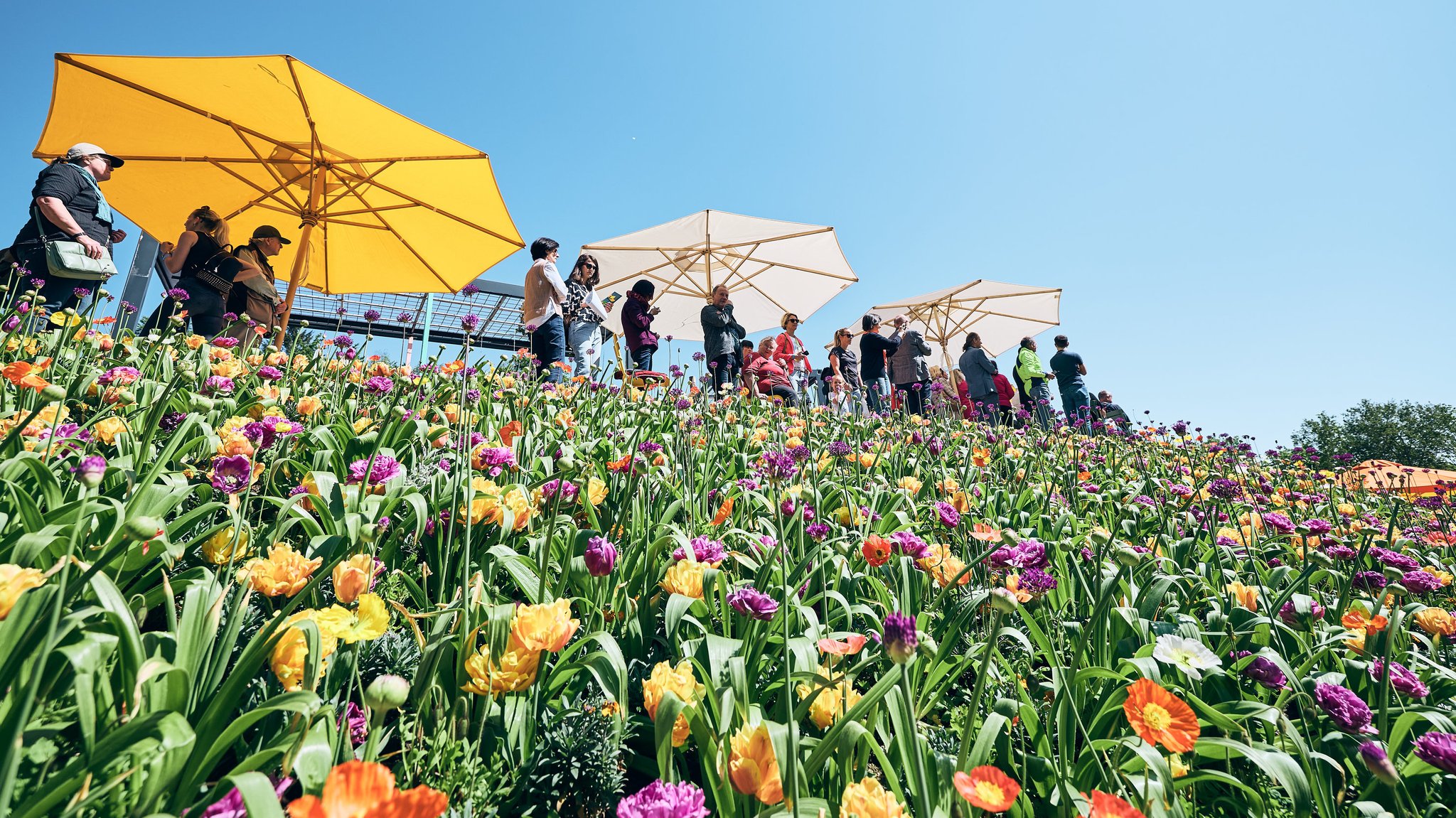 Eröffnung der Landesgartenschau in Freyung