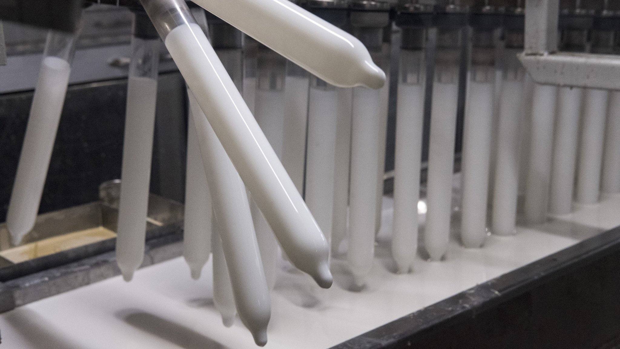 Glaskolben auf dem Weg ins Latex-Bad: Produktionslinie der Firma Karex in Malaysia