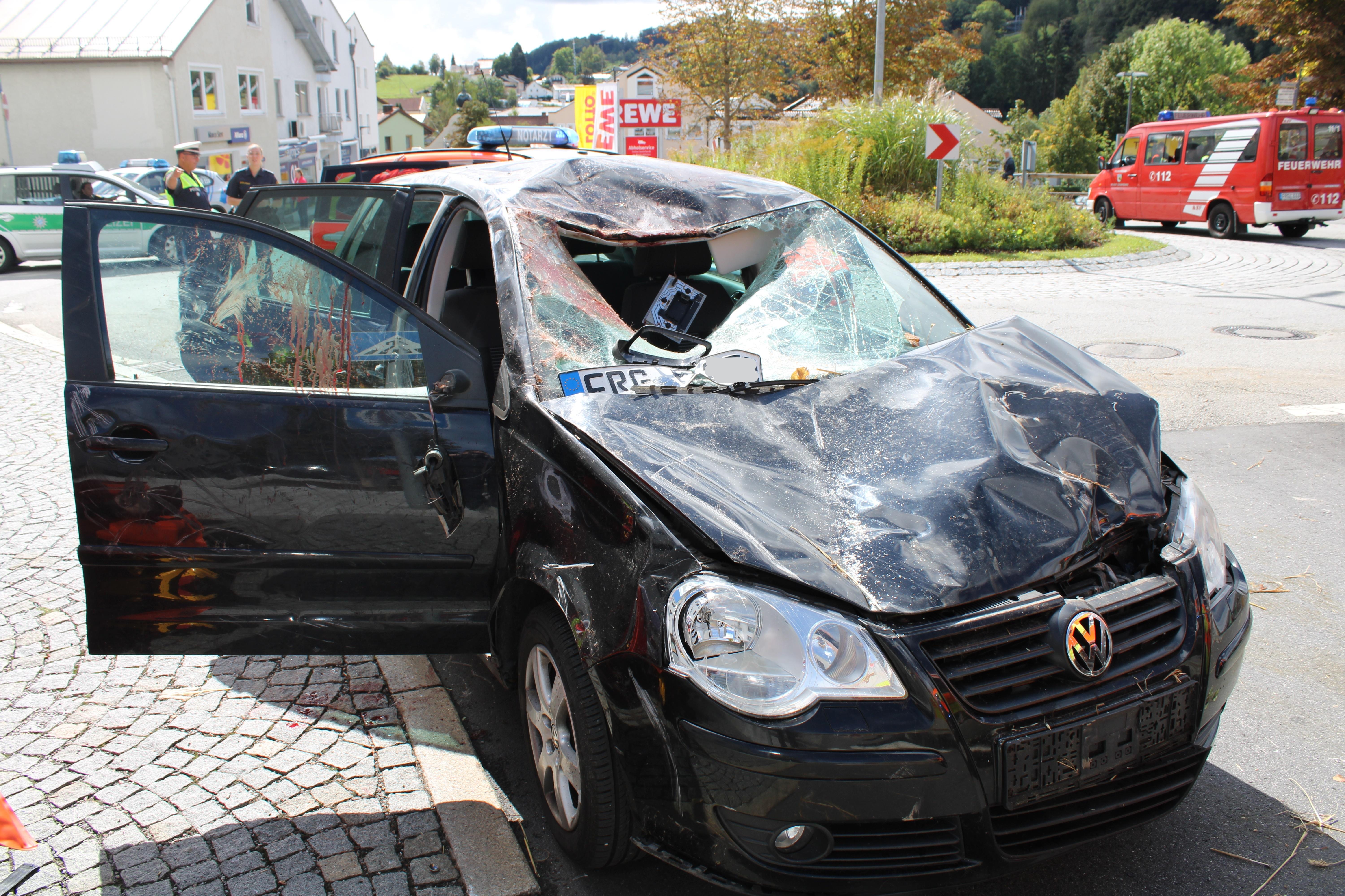 Leonhardiritt: Pferd Springt Auf Auto - Zwei Verletzte | BR24