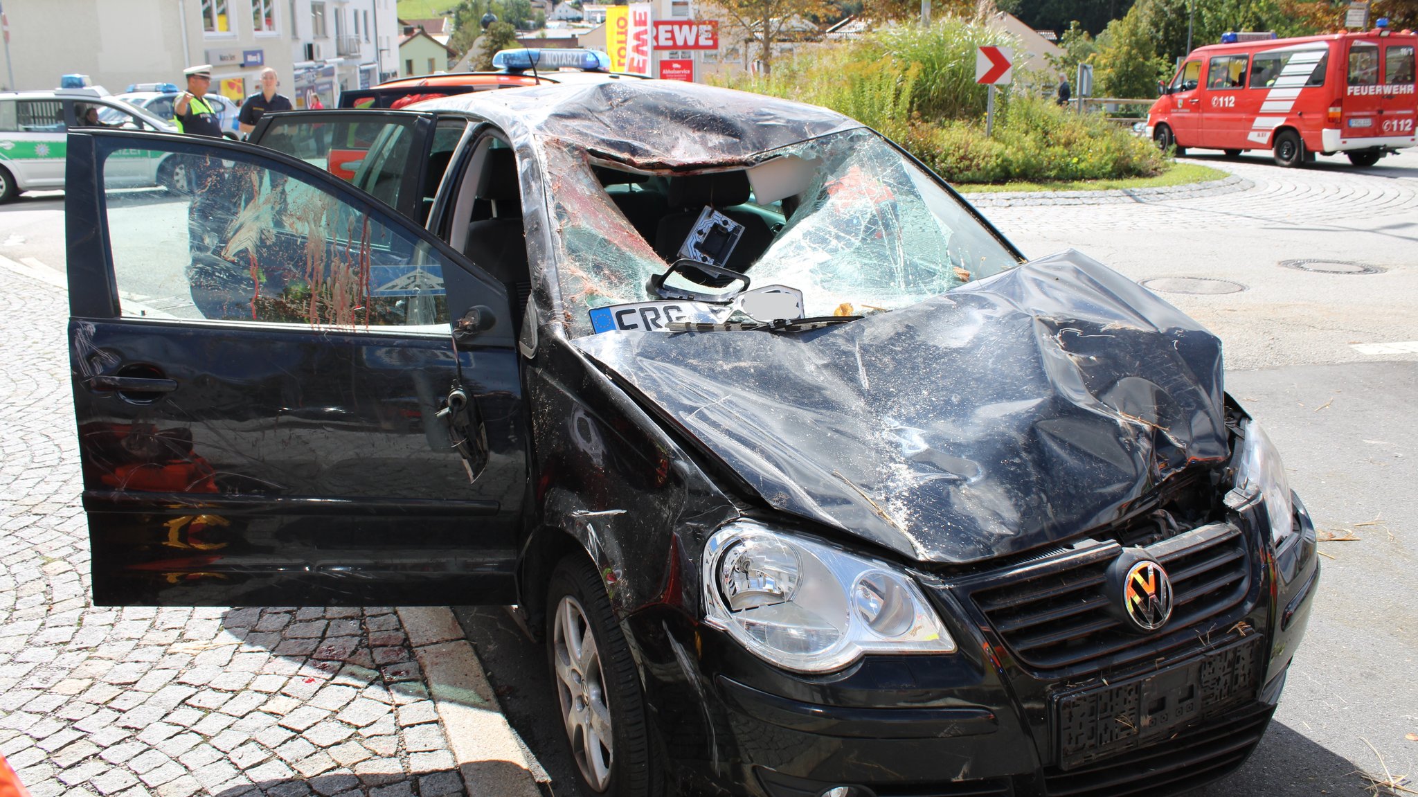 Das völlig demolierte Auto mit durchbrochener Windschutzscheibe. Ein Pferd war auf das Auto gesprungen.