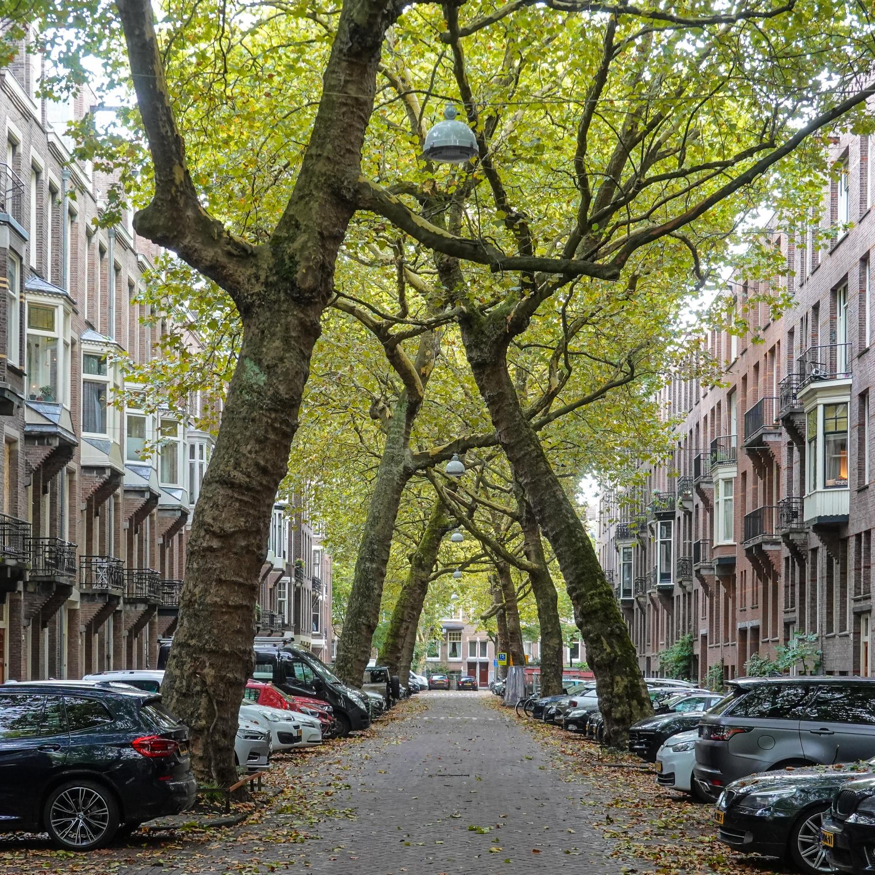 Hitze, Städte, Zukunft: Was kann Landschaftsarchitektur leisten?