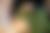 Bild: dpa/pa/Sven Hoppe