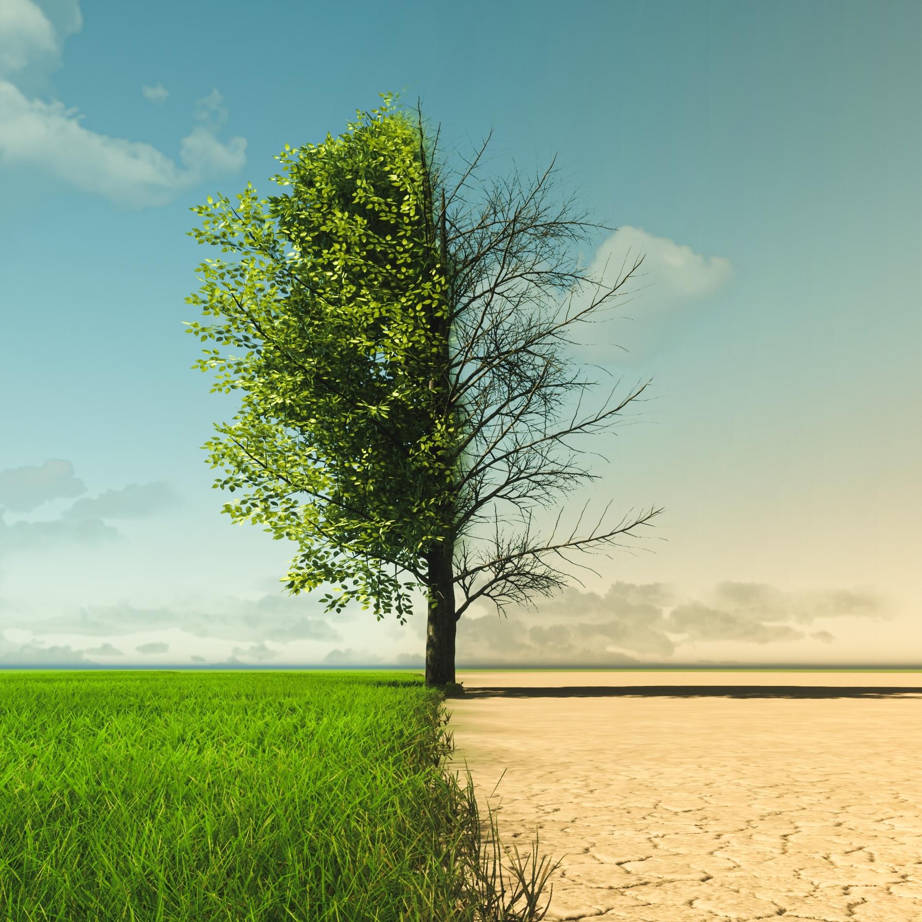 Soziale Folgen Des Klimawandels - Die Unsichtbaren Opfer - IQ ...