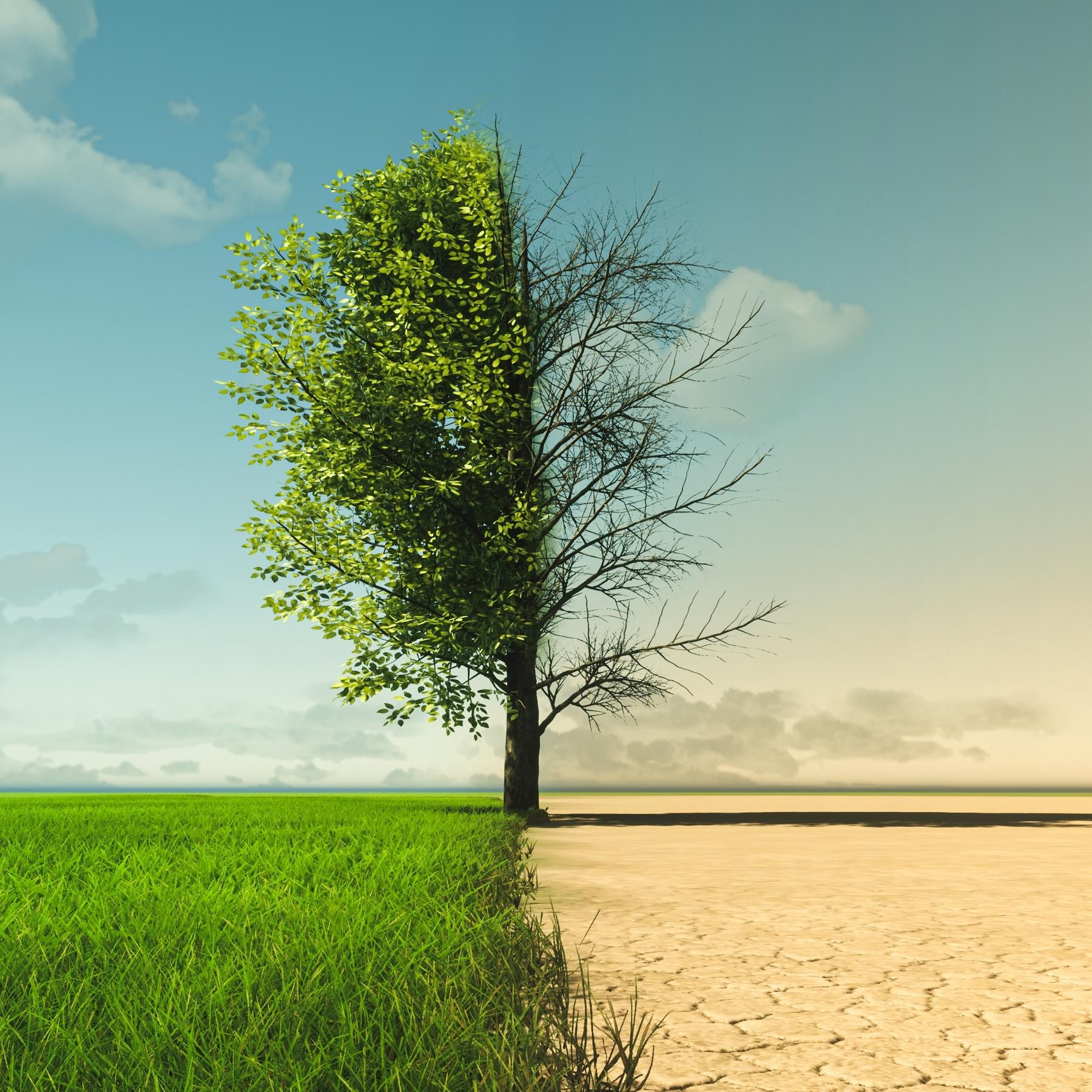 Soziale Folgen des Klimawandels - Die unsichtbaren Opfer