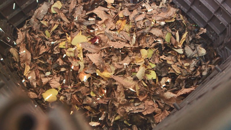 Laubkompost | Bild: BR / Tino Müller Laubkompost