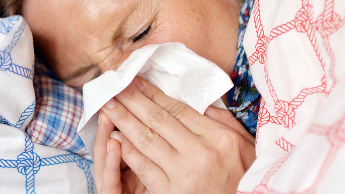 Grippewelle in Deutschland hat begonnen