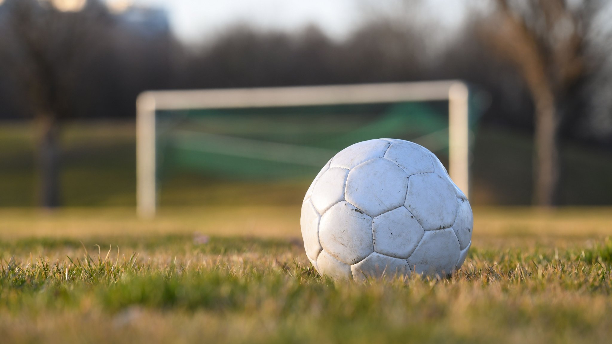 Ein Fußball liegt auf einem Fußballplatz (Symbolbild) | Bild: dpa-Bildfunk/Tobias Hase Ein Fußball liegt auf einem Fußballplatz (Symbolbild)