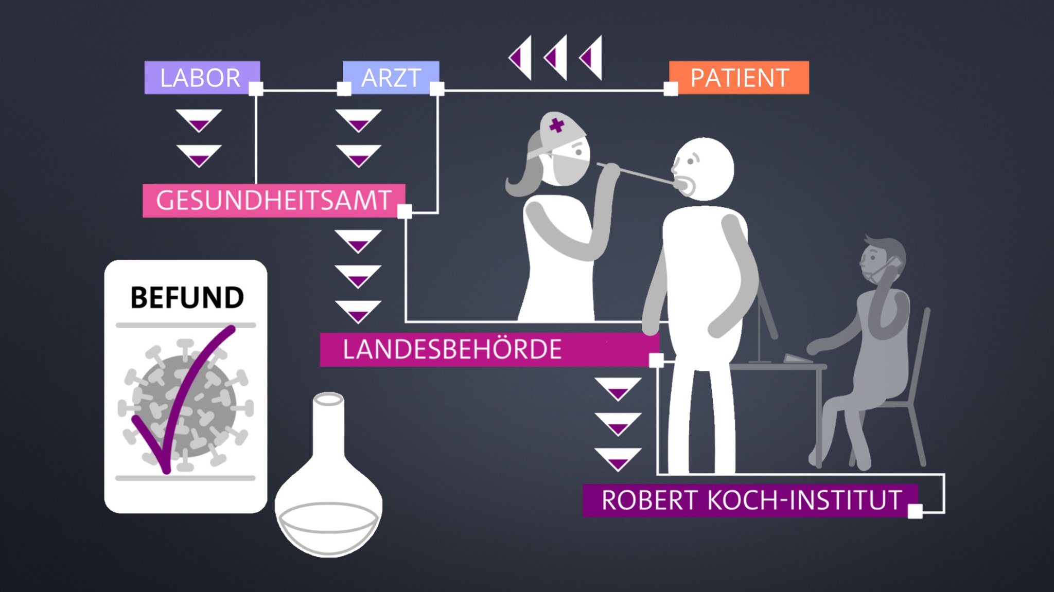 Die Meldekette eines Corona-Falles von der Erkrankung über den Arzt, dem Labor bis zur Meldung beim Gesundheitsamt. Im zweiten Schritt folgt die Datenübermittlung an die zuständige Landesbehörde. Von dort wird weiter ans RKI gemeldet.