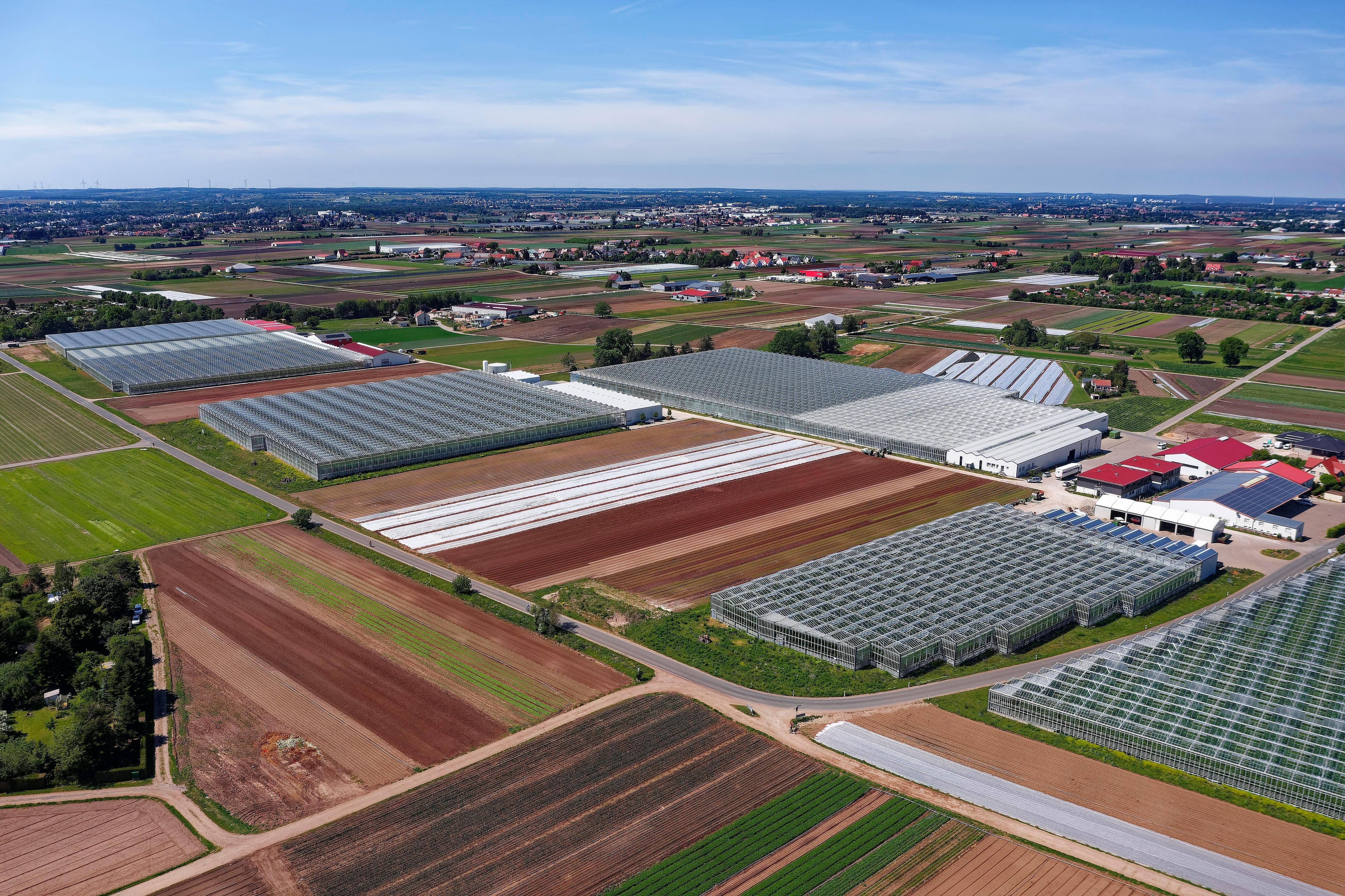 Das Knoblauchsland mit seinen Feldern und Gewächshäusern aus der Vorgelperspektive
