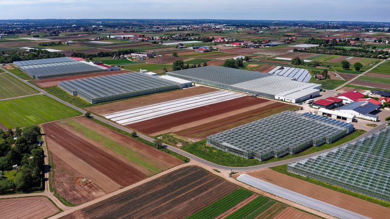 Das Knoblauchsland mit seinen Feldern und Gewächshäusern aus der Vorgelperspektive | Bild: picture alliance / imageBROKER | Norbert Probst Das Knoblauchsland mit seinen Feldern und Gewächshäusern aus der Vorgelperspektive