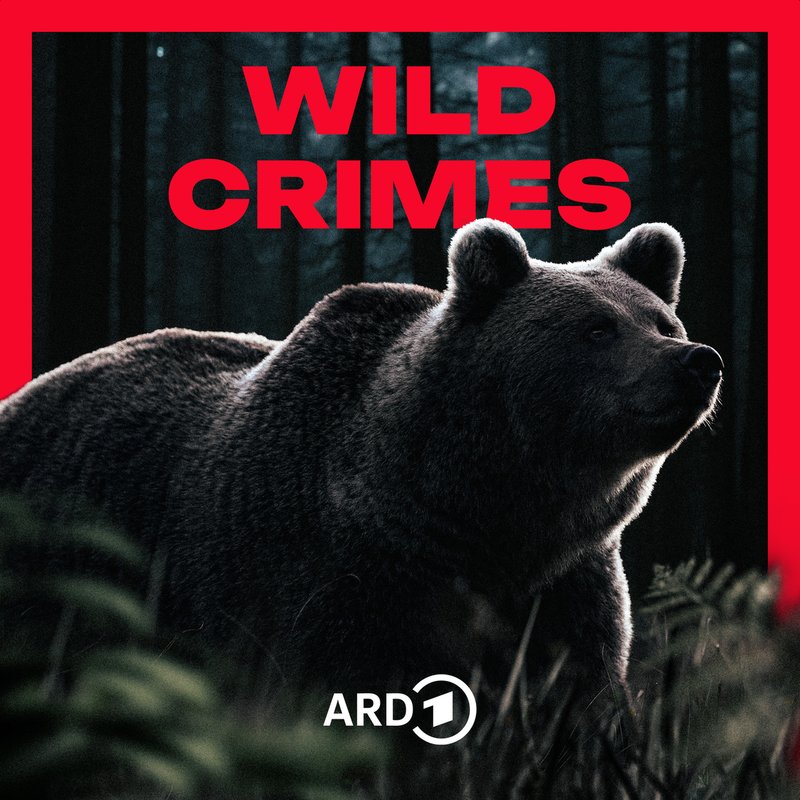 Wild Crimes | BR Podcast