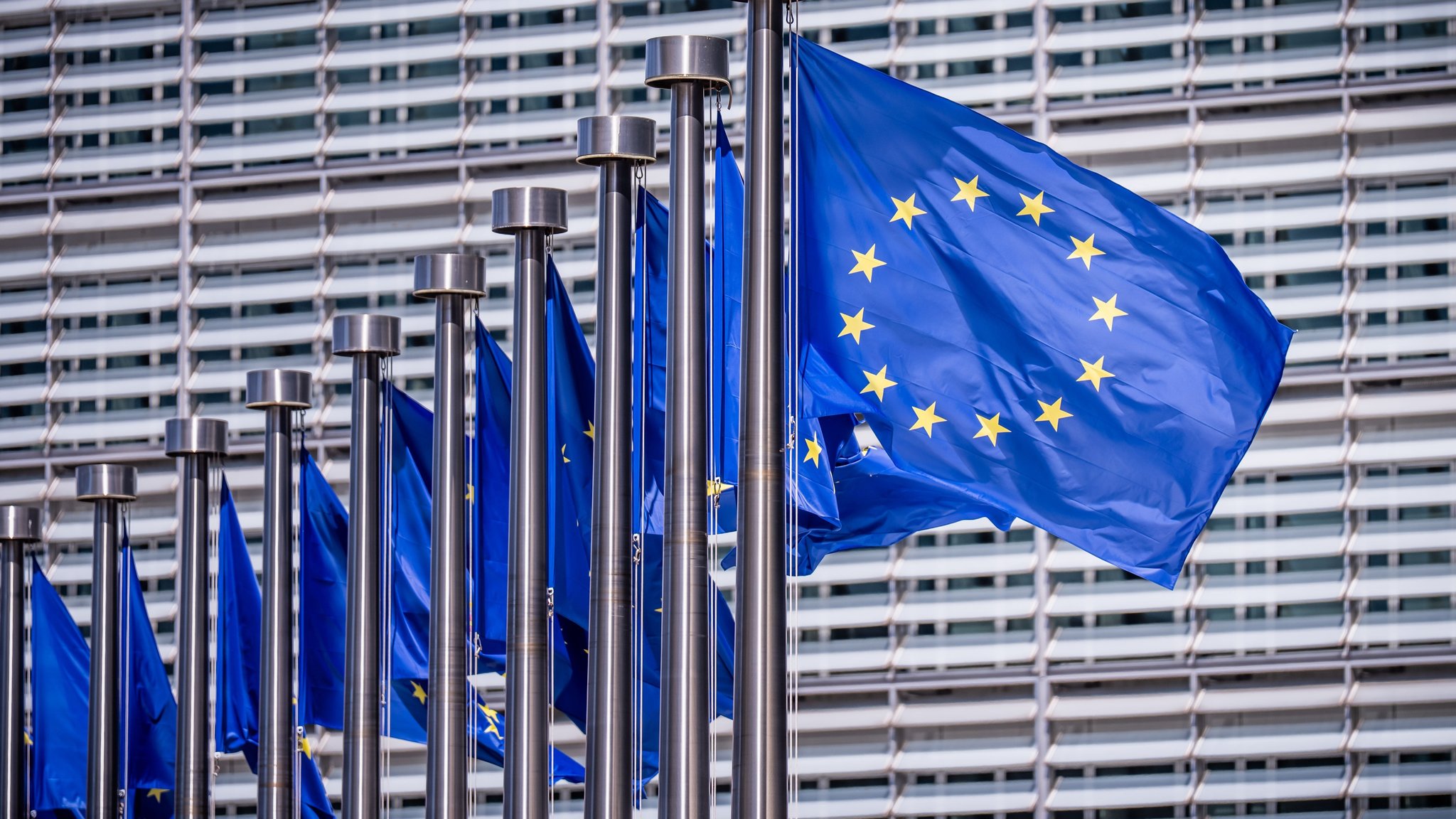 Eine Reihe von Europafahnen vor einer Fassade
