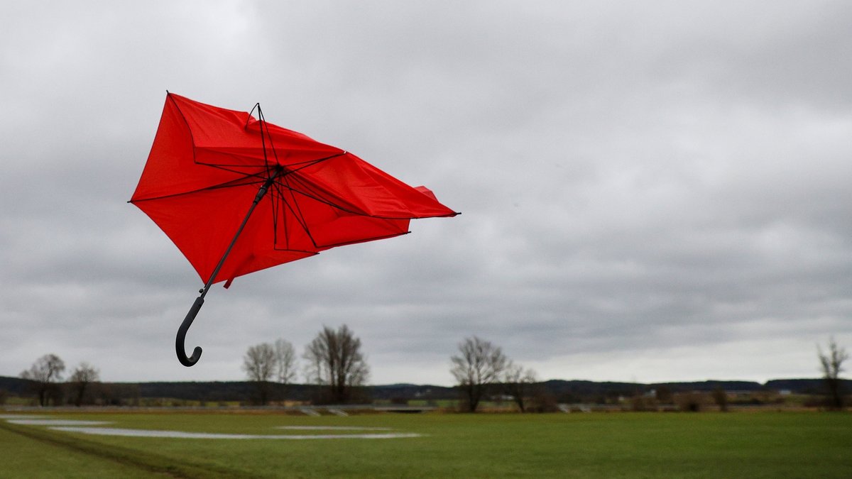 Ein kaputter Regenschirm fliegt im Wind von Sturmtief "Zoltan" über eine Wiese.