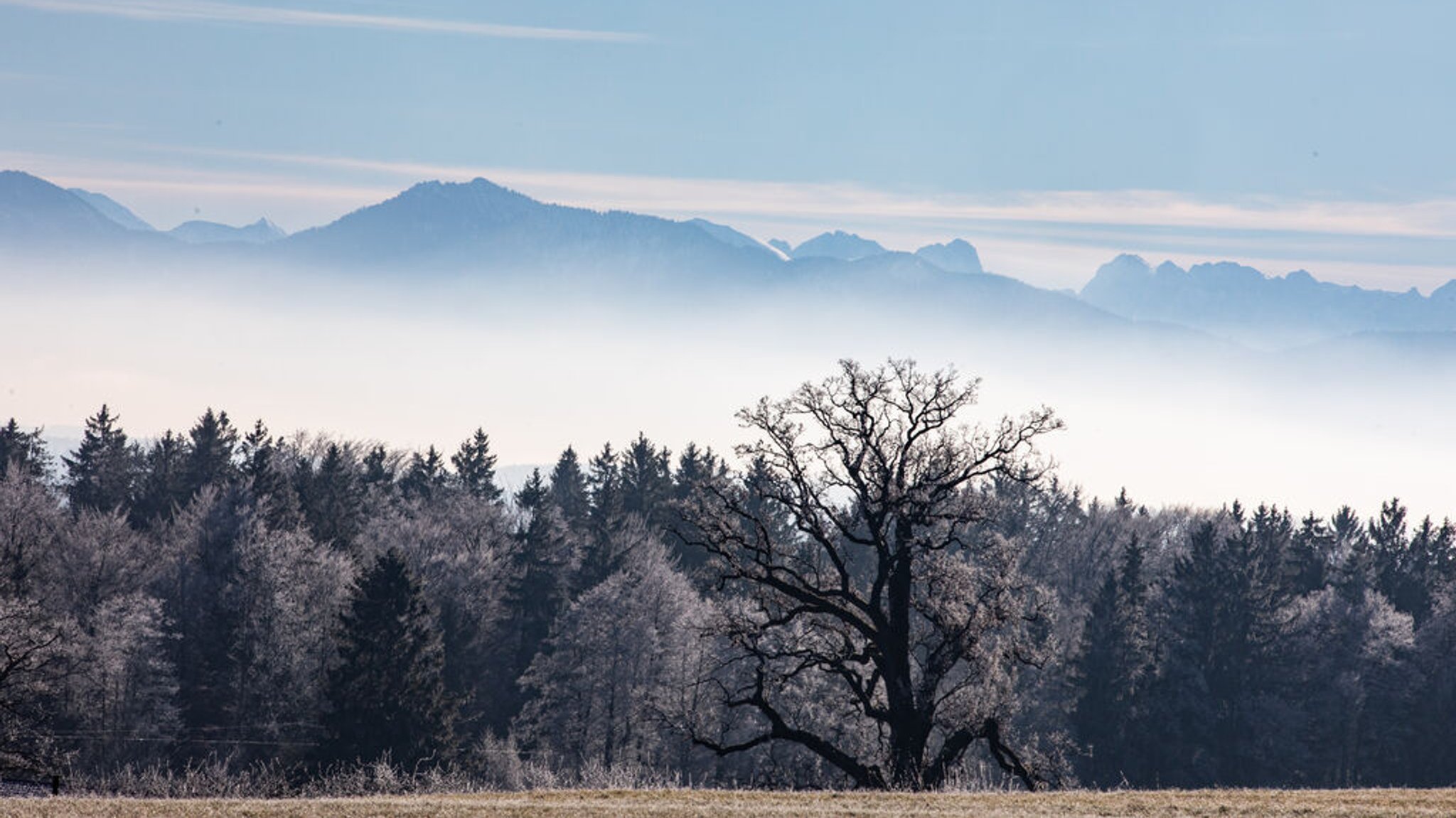 Frostiger Rutsch ins neue Jahr: So wird das Wetter an Silvester