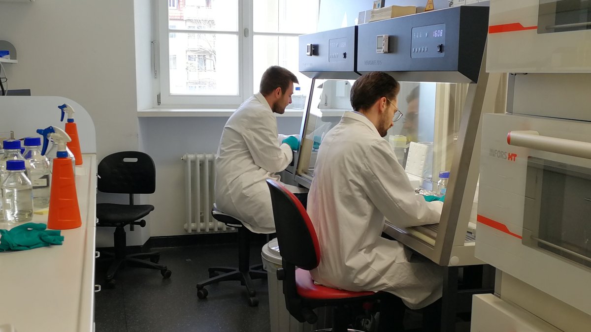 Antibiotika der Zukunft: Uni Würzburg forscht mit KI