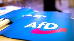 AfD bestätigt Immunitätsaufhebung von Hahn und Storm | Bild:dpa-Bildfunk/Daniel Karmann