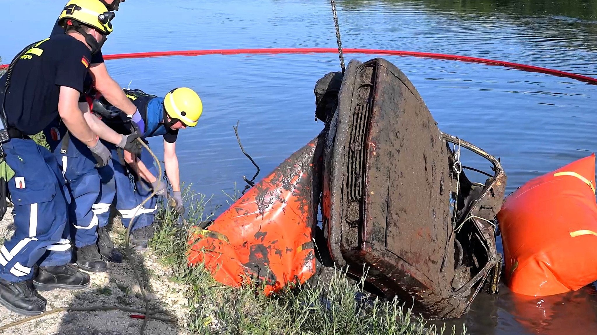 Manta aus der Donau sorgt für Aufsehen