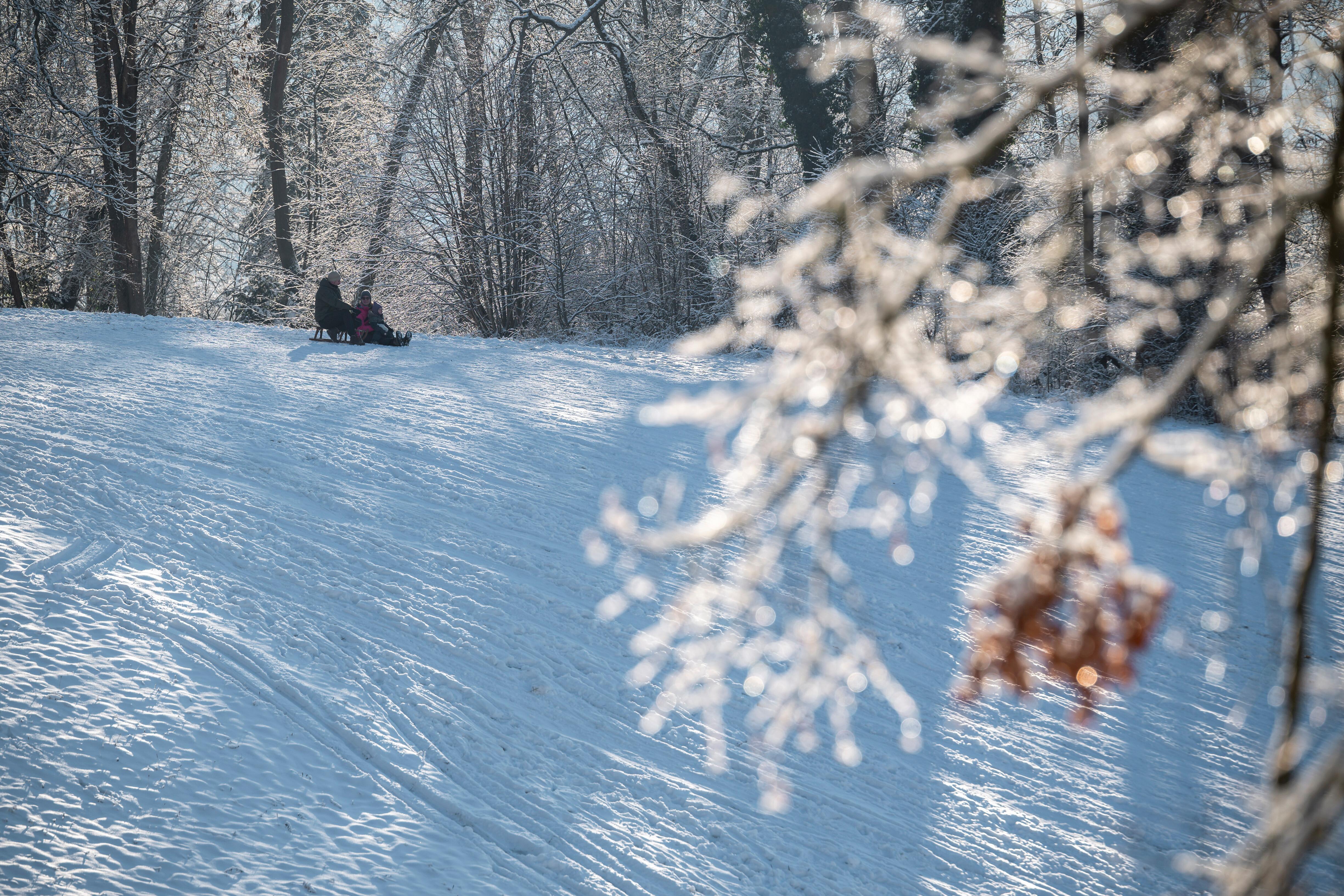  Familie fährt mit Schlitten einen Hügel hinunter