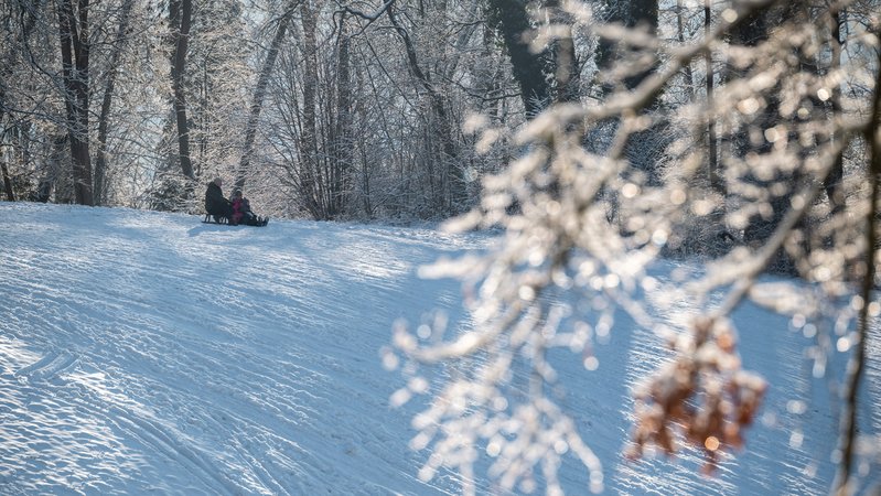 Familie fährt mit Schlitten einen Hügel hinunter | Bild: picture alliance / Jan Eifert | Jan Eifert Familie fährt mit Schlitten einen Hügel hinunter