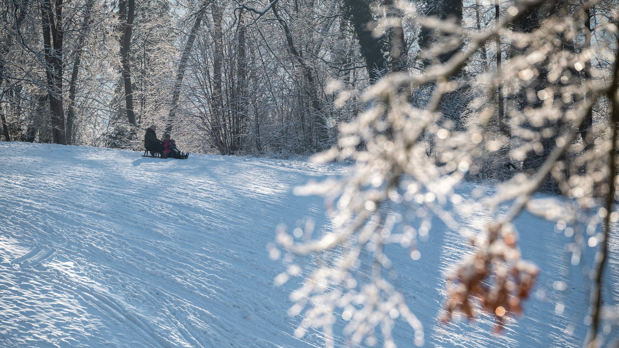 Familie fährt mit Schlitten einen Hügel hinunter
