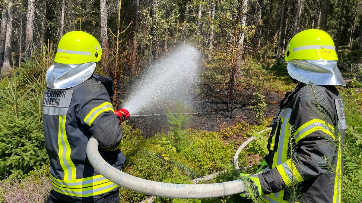 Feuerwehrleute löschen den Waldbrand