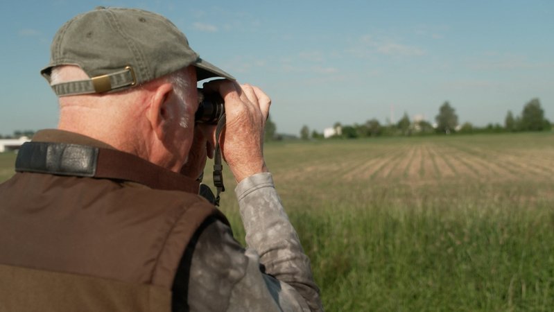 Mann mit Kappe von hinten schaut durch ein Fernglas auf einen Maisacker mit kleinen Pflanzen | Bild: BR / Daniel Bawelski Mann mit Kappe von hinten schaut durch ein Fernglas auf einen Maisacker mit kleinen Pflanzen