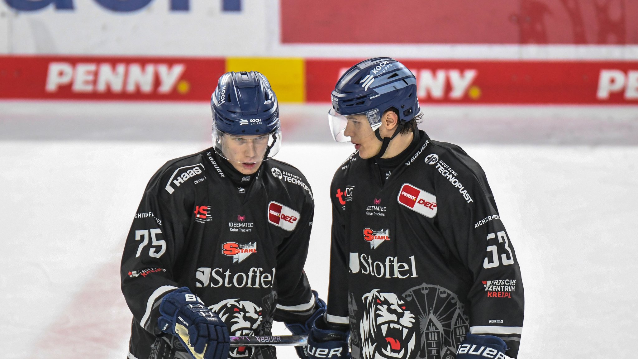 Straubing Tigers | Bild: picture-alliance/dpa Straubing Tigers