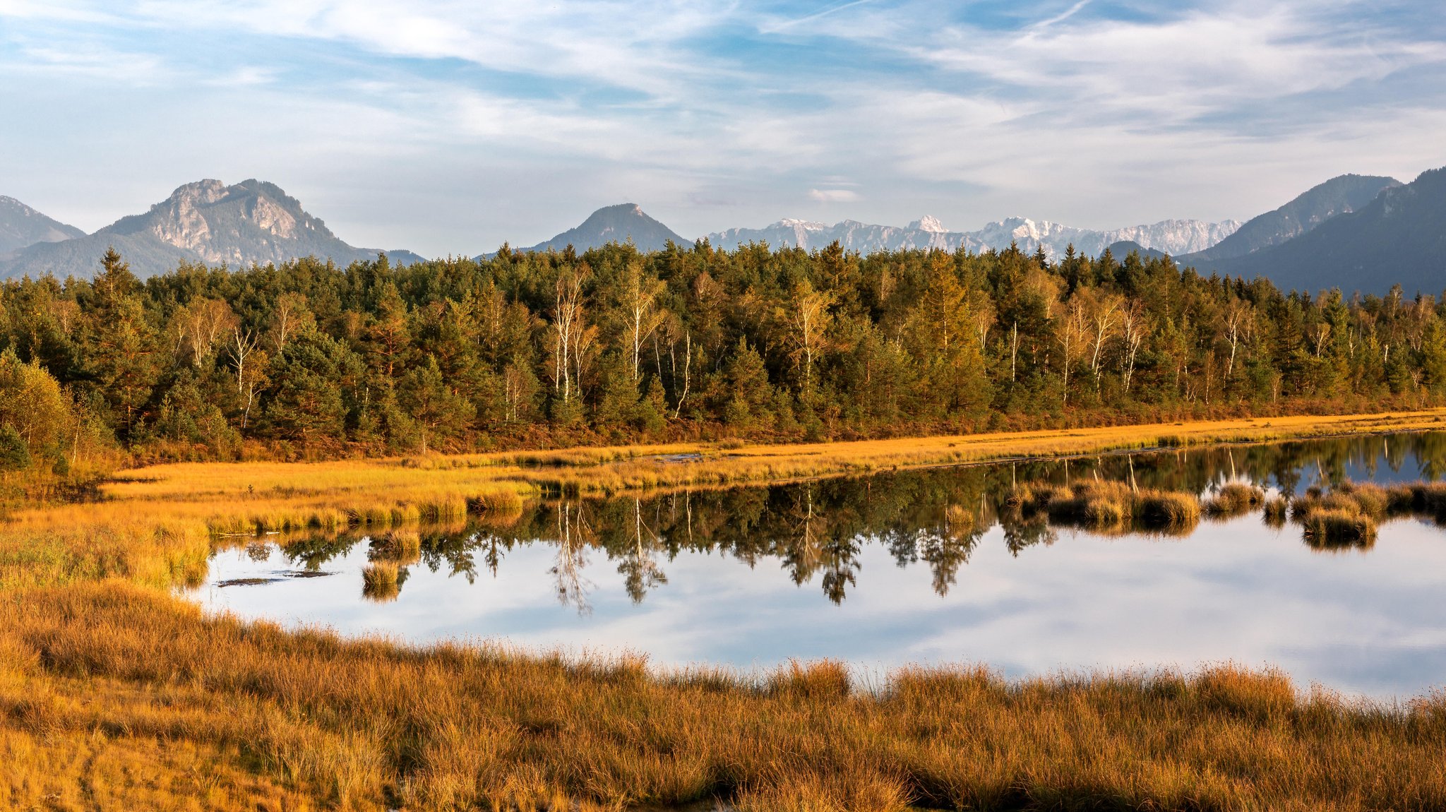 Moorlandschaft am Alpenrand