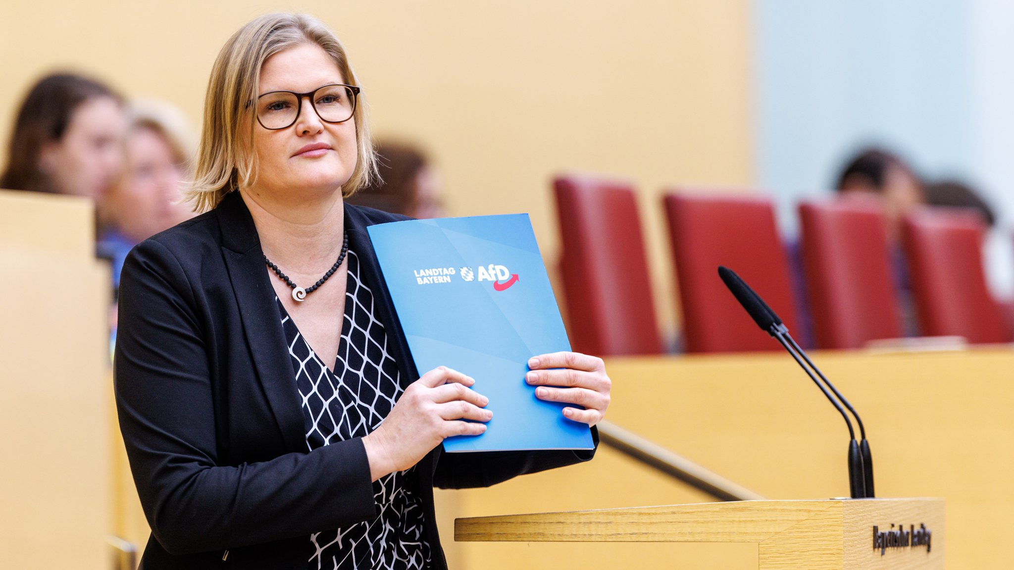 AfD-Fraktion könnte schrumpfen und hinter Grüne zurückfallen