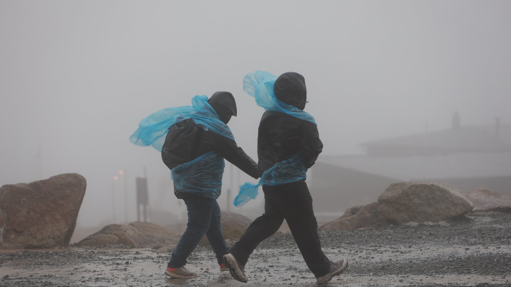 Sturmtief fegt über Deutschland: Schäden und Behinderungen