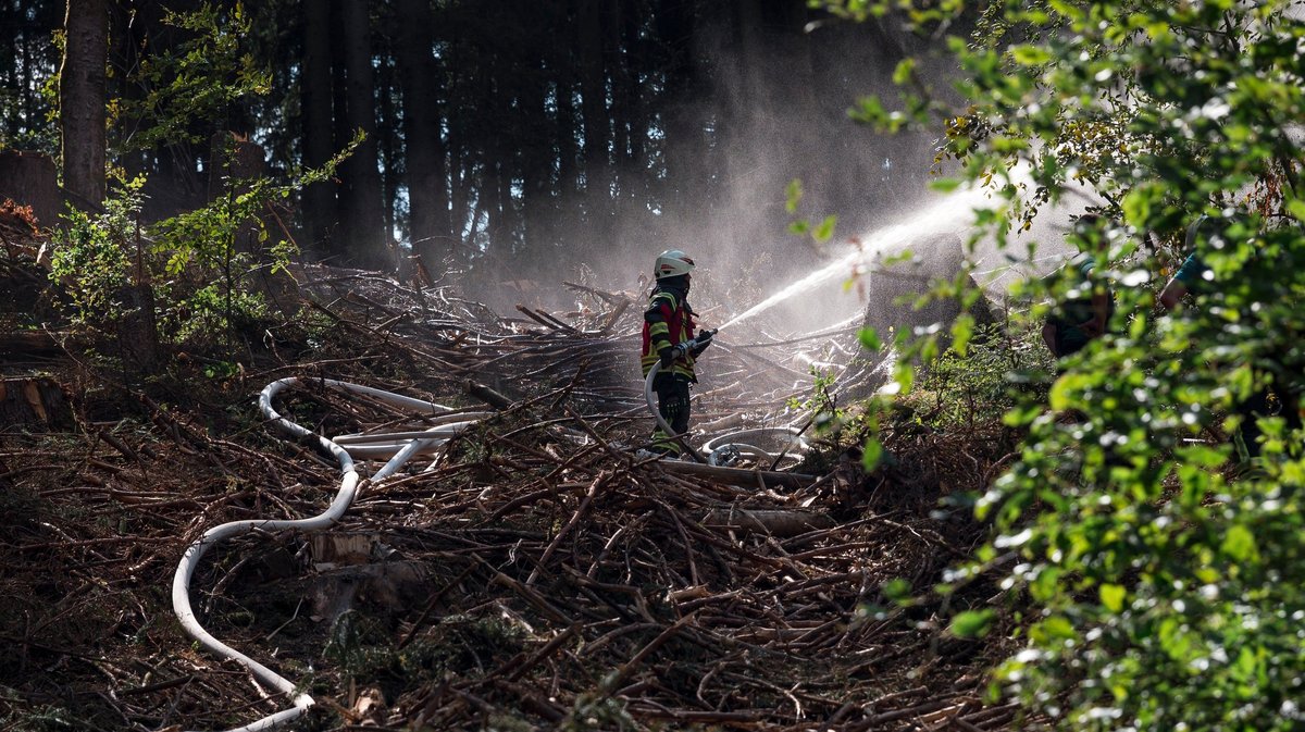 Feuer zerstört mehrere Hektar Feld und greift auf Wald über