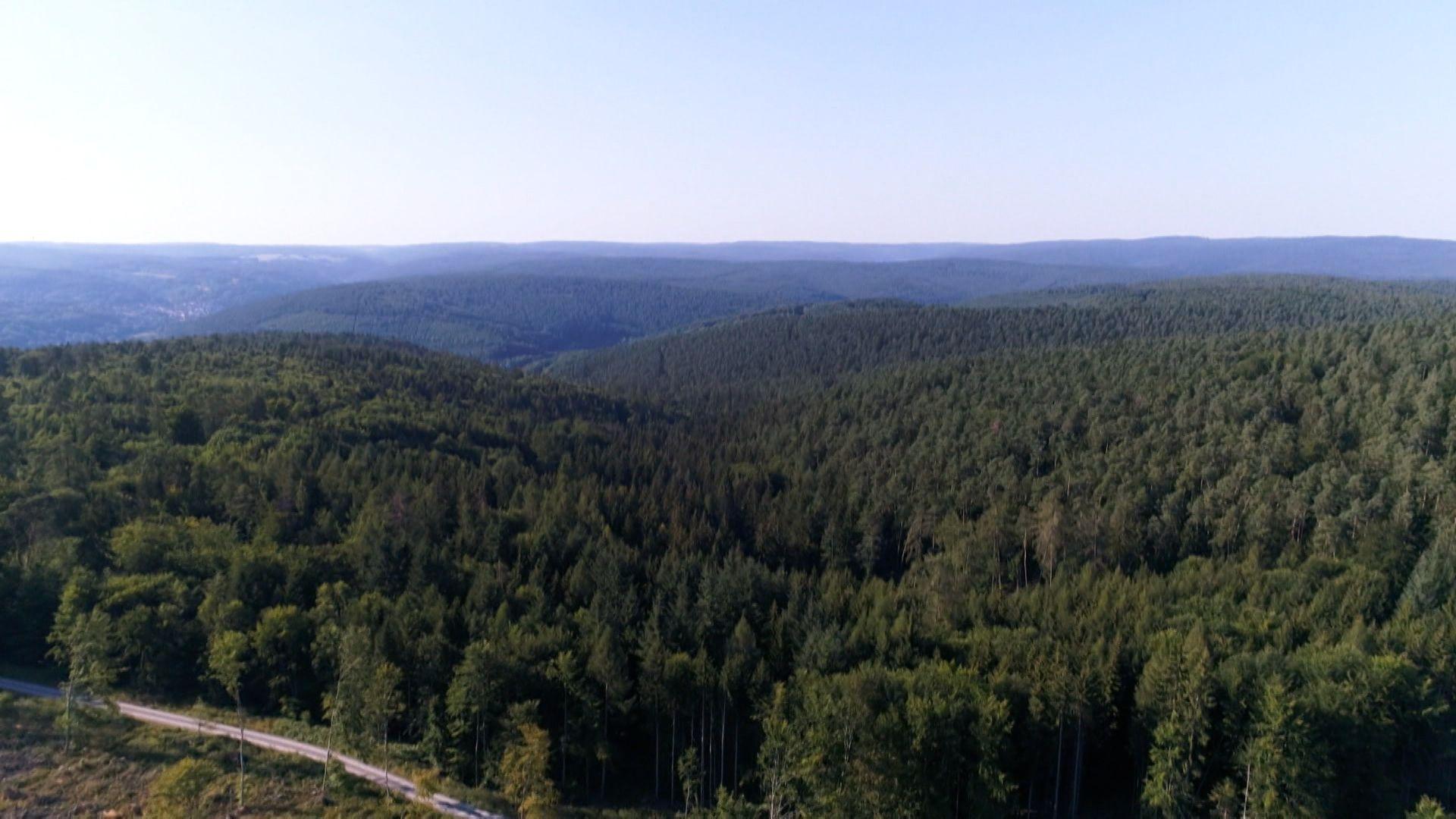 Spessartwald von oben 