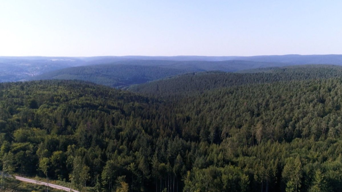 Spessartwald von oben 