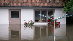 Ein Haus in Reichertshofen steht unter Wasser | Bild:dpa-Bildfunk/Sven Hoppe