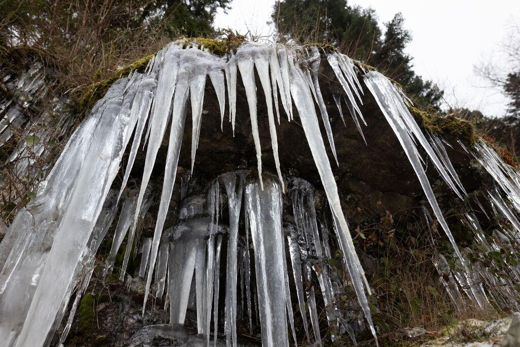 Lange Eiszapfen hängen an einer vereisten Felswand.