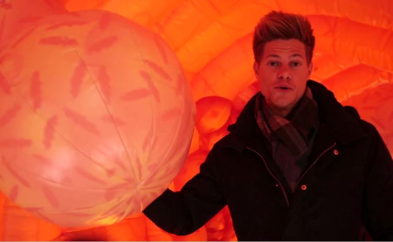 Moderator im Darmmodell 