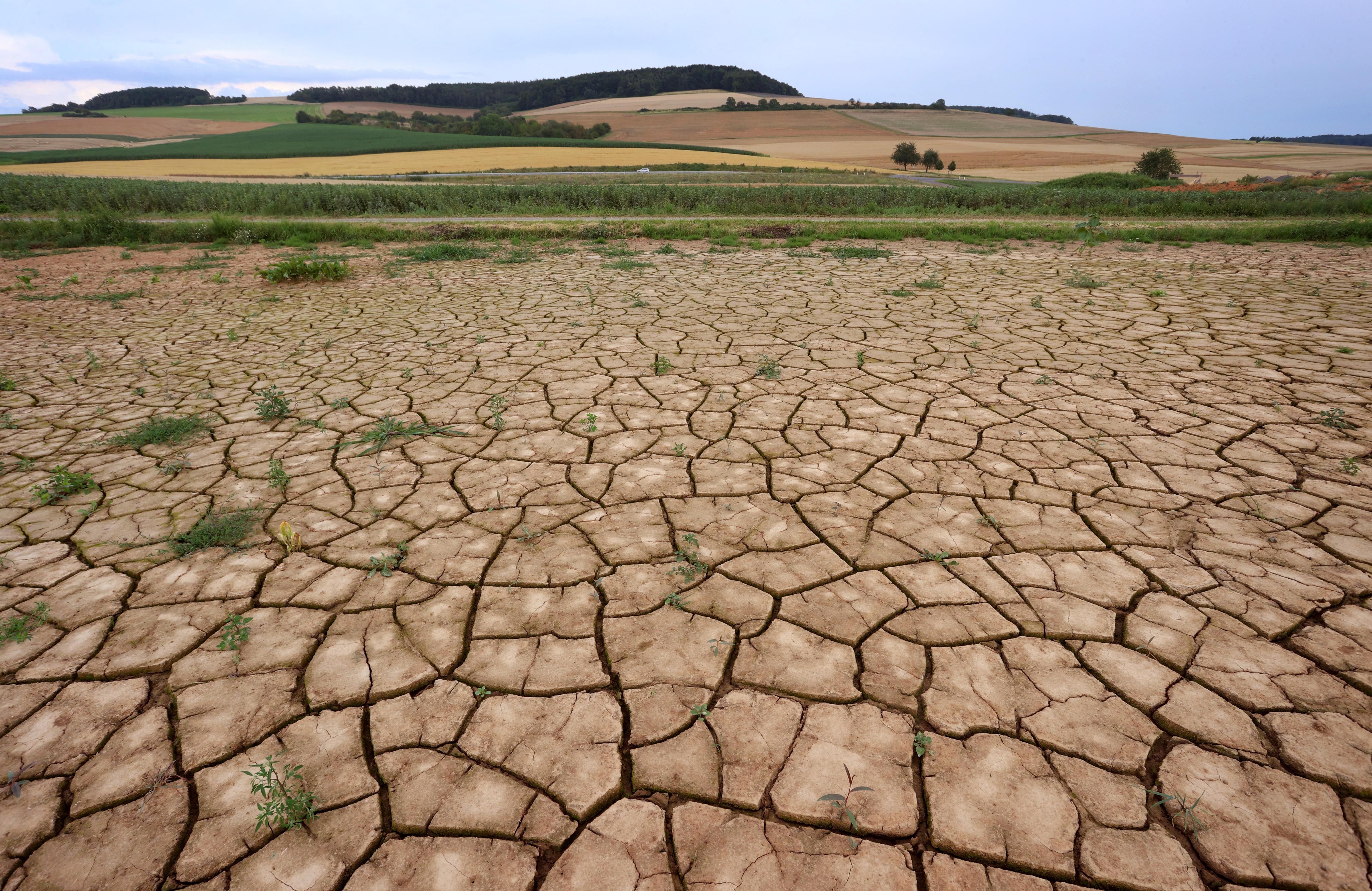 IPCC-Weltklimabericht: Was Der Klimawandel Für Bayern Bedeutet | BR24