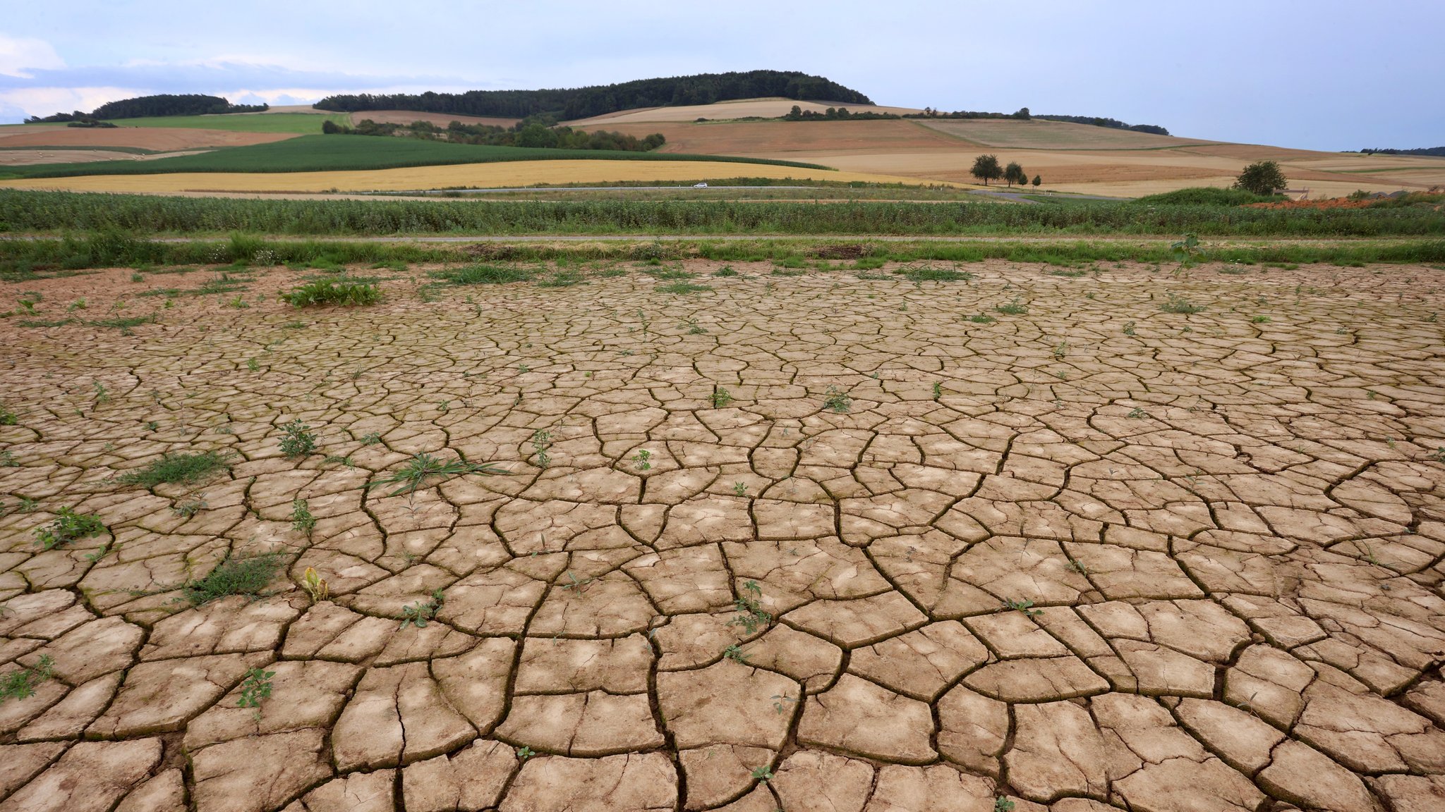 IPCC-Weltklimabericht: Was der Klimawandel für Bayern bedeutet