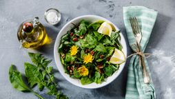 Salat mit Nesselblättern und Löwenzahn: Biohacker achten sehr auf ihre Ernährung | Bild:pa/dpa/The Picture Pantry | Lisovskaya Natalia