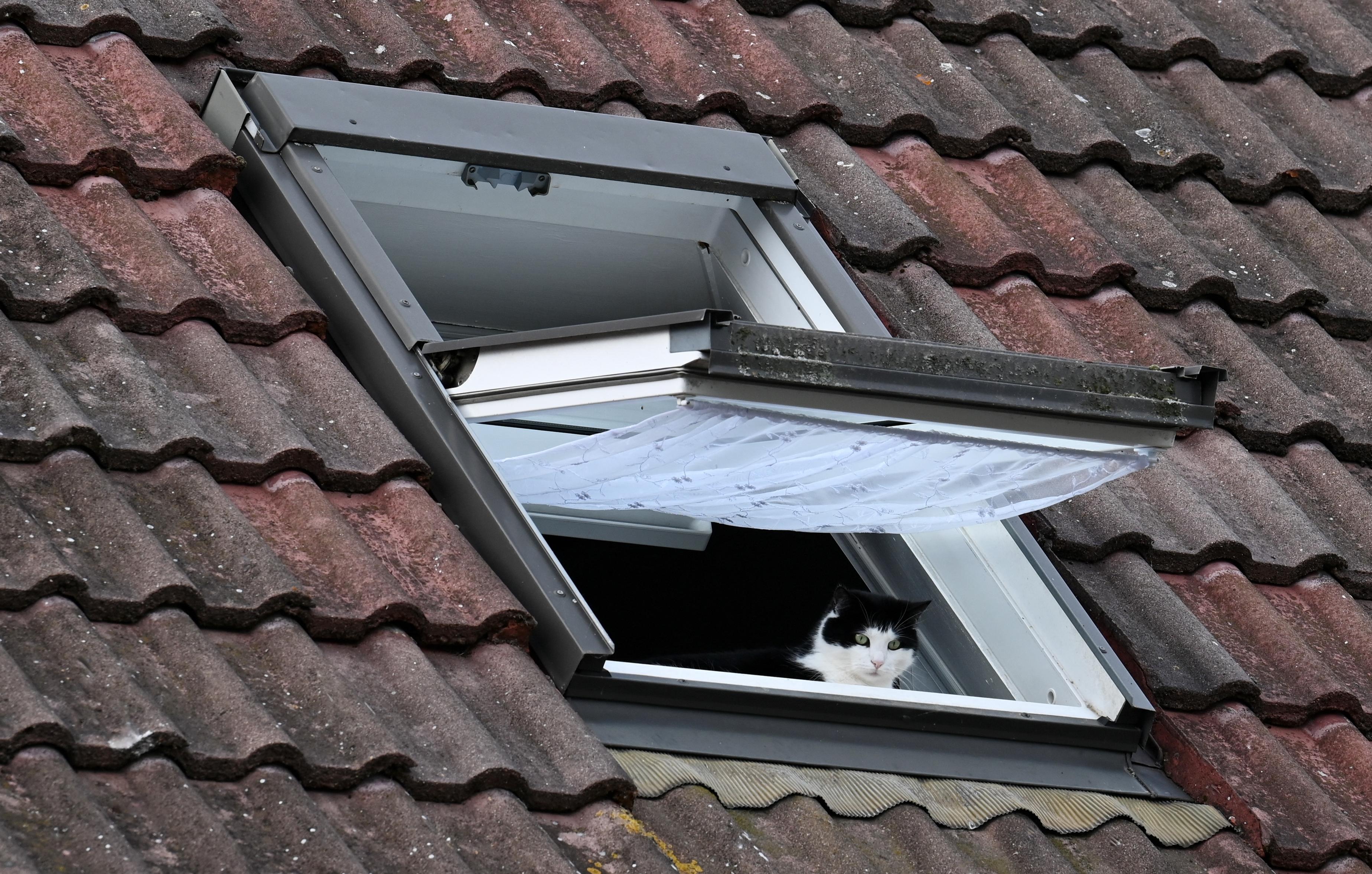 Image accompanying Menschen sterben bei großer Hitze in geschlossenen Räumen
