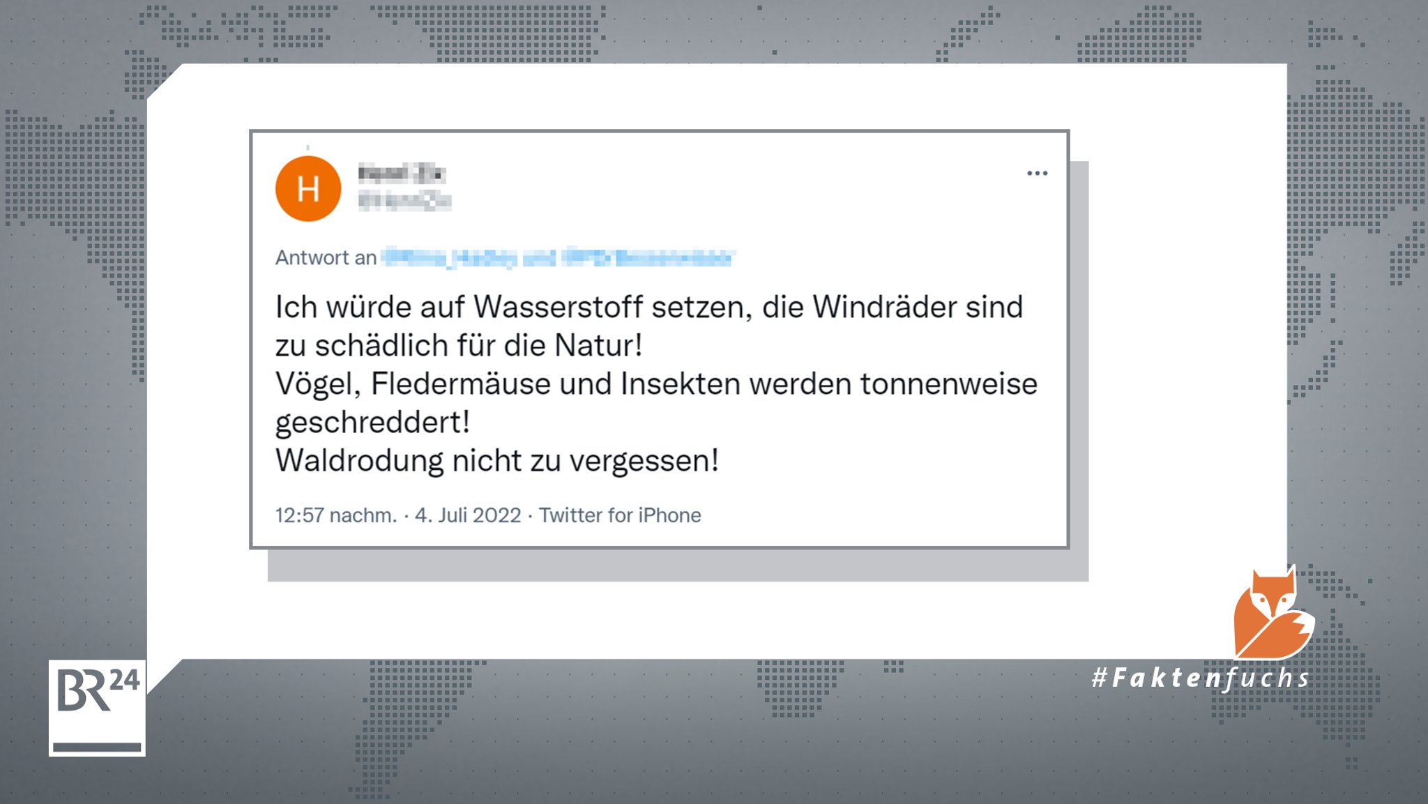 Werden durch Windräder "tonnenweise" Vögel geschreddert? Das behauptet zumindest dieser Twitter-User.